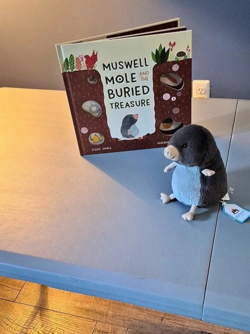 Jellycat Muswell Mole Stuffed Mouse Toy with Book